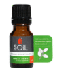 Soil Organic Basil Oil (Ocimum Basilicum)