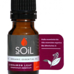Soil Organic Cinnamon Leaf Oil (Cinnamon Zeylanicum)