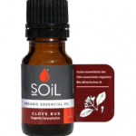 Soil Organic Clove Bud Oil (Syzygium Aromaticum Eugenia)