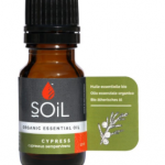 Soil Organic Cypress Oil (Cupressus Sempervirens)