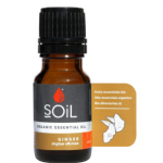Soil Organic Ginger Oil (Zingiber Officinale)