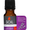 Soil Organic Lavener Oil (Lavandula Angustifolia)