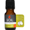 Soil Organic Lime Oil (Citrus Aurantifolia)