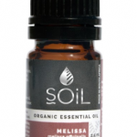 Soil Organic Melissa Oil (Melissa Officinalis)